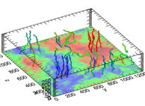 The imprints of expansion on solar wind turbulence